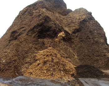 Industrielle Trocknung von Biomasse