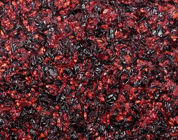 Büttner Industrial Applications: Pomace